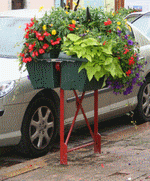 Jardinières en option
